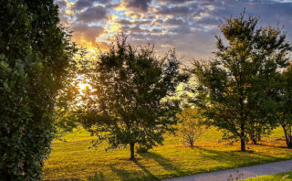 “Don’t Be Yourself”: Rethinking Authenticity and Leadership Perception